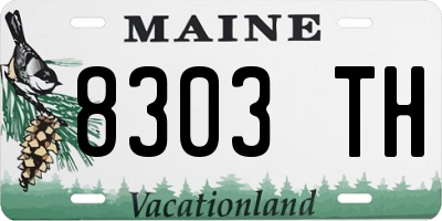 ME license plate 8303TH