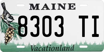 ME license plate 8303TI