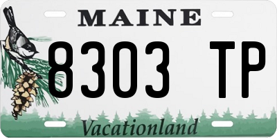 ME license plate 8303TP