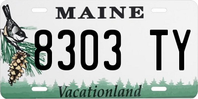 ME license plate 8303TY