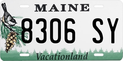 ME license plate 8306SY