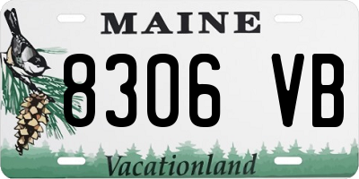 ME license plate 8306VB