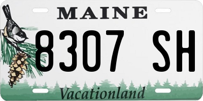 ME license plate 8307SH