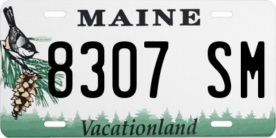 ME license plate 8307SM