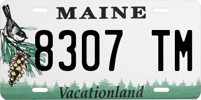 ME license plate 8307TM