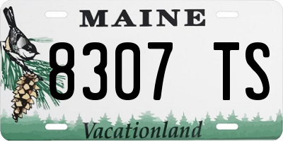 ME license plate 8307TS