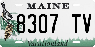 ME license plate 8307TV