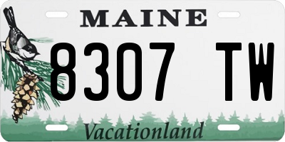 ME license plate 8307TW