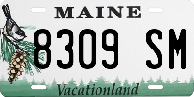 ME license plate 8309SM