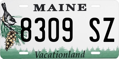 ME license plate 8309SZ
