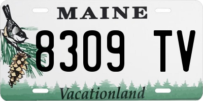 ME license plate 8309TV