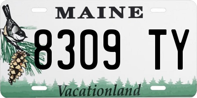 ME license plate 8309TY