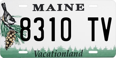 ME license plate 8310TV