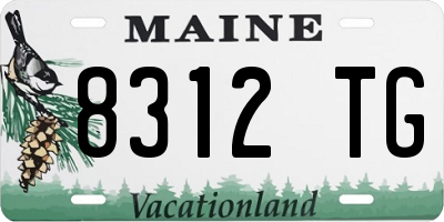 ME license plate 8312TG