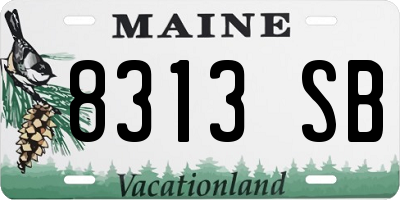 ME license plate 8313SB