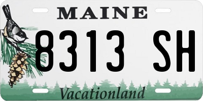 ME license plate 8313SH