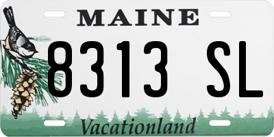 ME license plate 8313SL