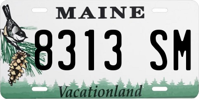 ME license plate 8313SM
