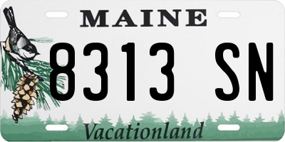 ME license plate 8313SN