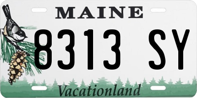 ME license plate 8313SY