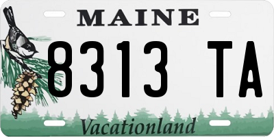 ME license plate 8313TA