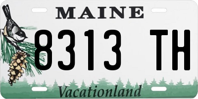 ME license plate 8313TH