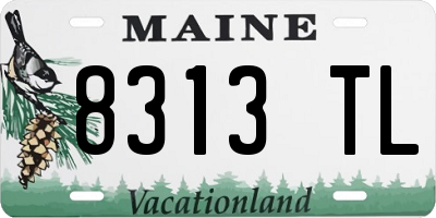 ME license plate 8313TL