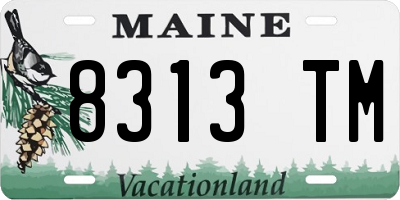 ME license plate 8313TM
