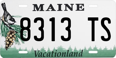 ME license plate 8313TS