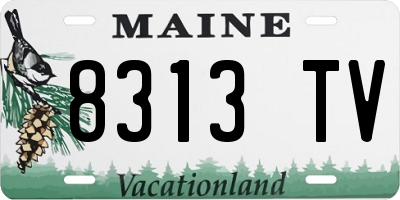 ME license plate 8313TV