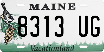 ME license plate 8313UG