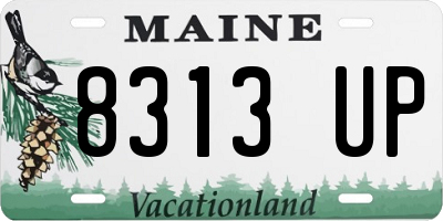 ME license plate 8313UP