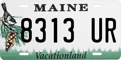 ME license plate 8313UR