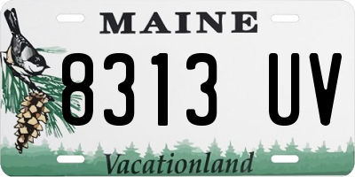 ME license plate 8313UV