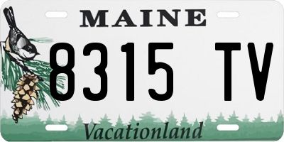 ME license plate 8315TV