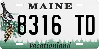 ME license plate 8316TD