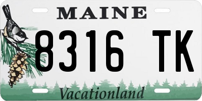 ME license plate 8316TK