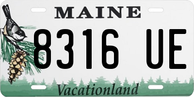 ME license plate 8316UE