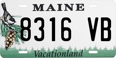 ME license plate 8316VB