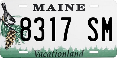 ME license plate 8317SM