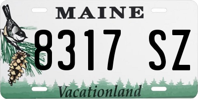 ME license plate 8317SZ