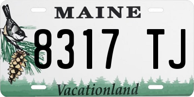 ME license plate 8317TJ