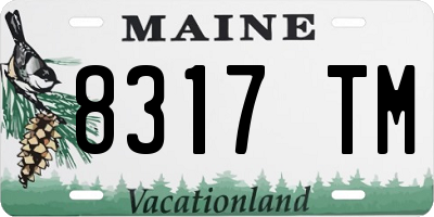 ME license plate 8317TM