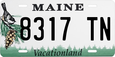 ME license plate 8317TN