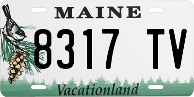 ME license plate 8317TV