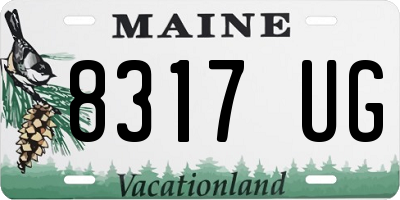 ME license plate 8317UG