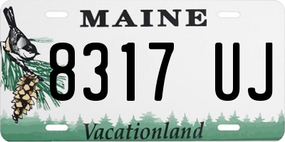 ME license plate 8317UJ