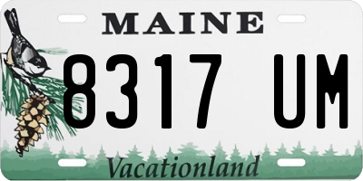 ME license plate 8317UM