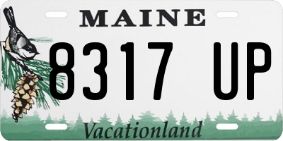 ME license plate 8317UP