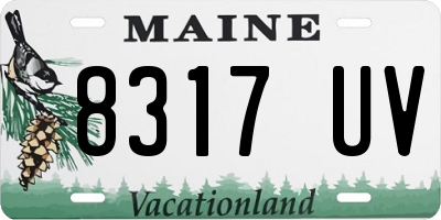 ME license plate 8317UV